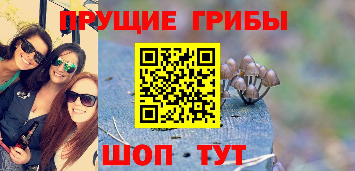 Псилоцибиновые грибы MAGIC MUSHROOMS  Вход с VPN  Шахты  Псилоцибиновые грибы Cubensis 