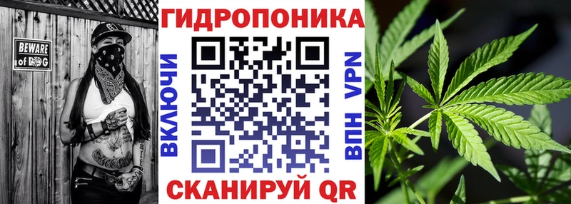 Шишки марихуана индика  магазин    Шахты 